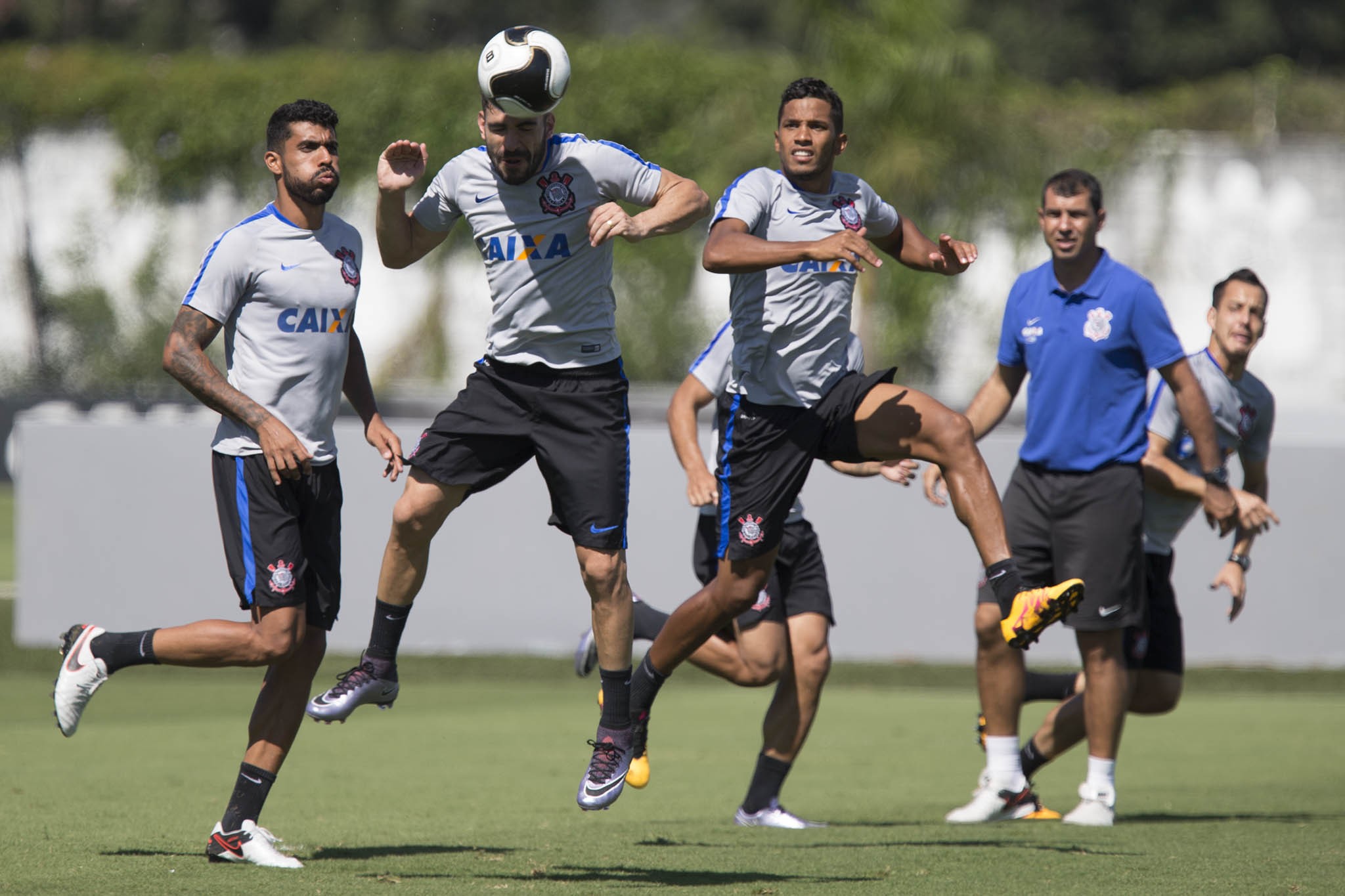 Imagem ilustrativa para a matéria