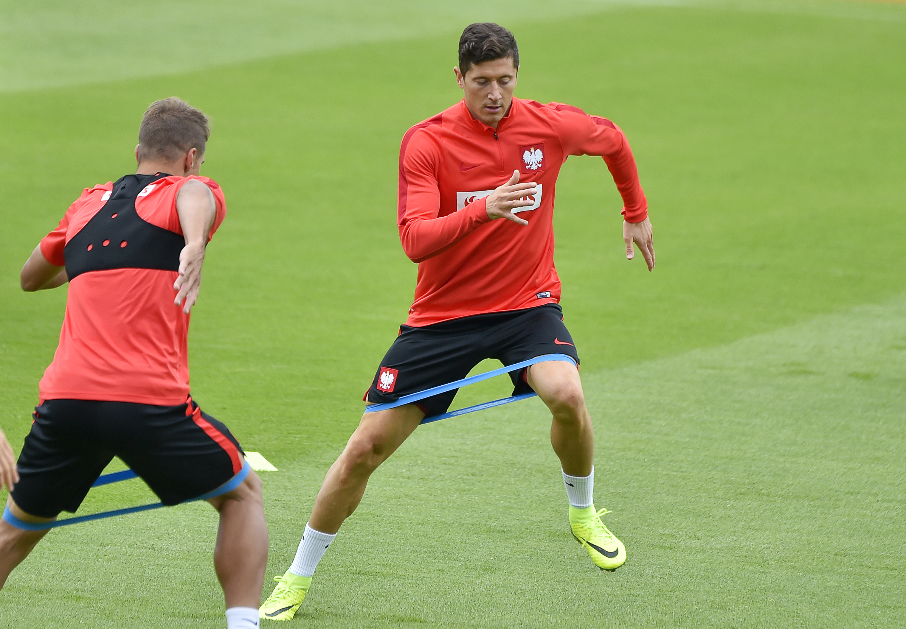 O matador Robert Lewandovski é a principal arma da equipe polonesa (Foto: Loic Venance/ AFP)