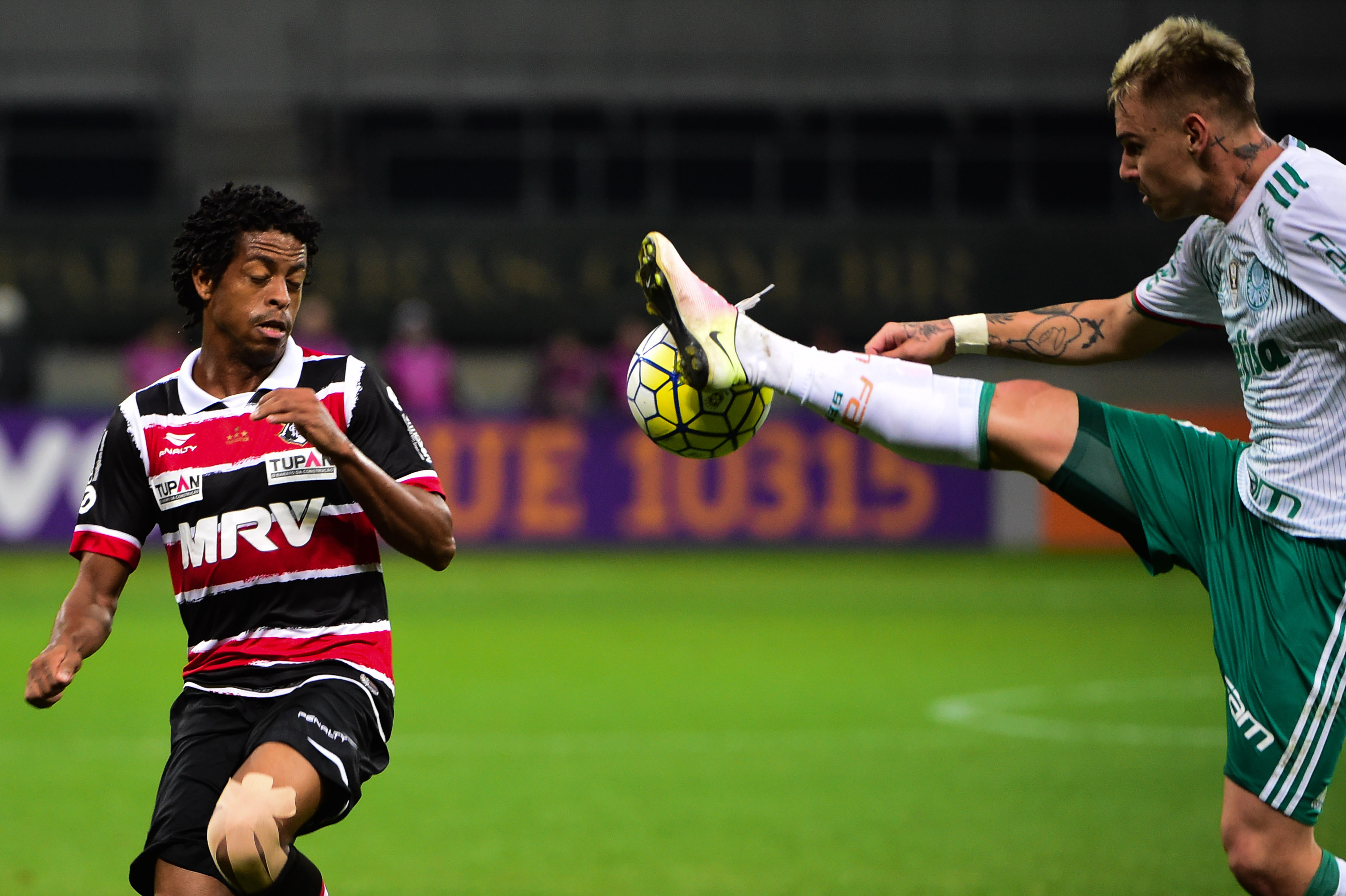 Veja fotos de Palmeiras x Santa Cruz - Gazeta Esportiva