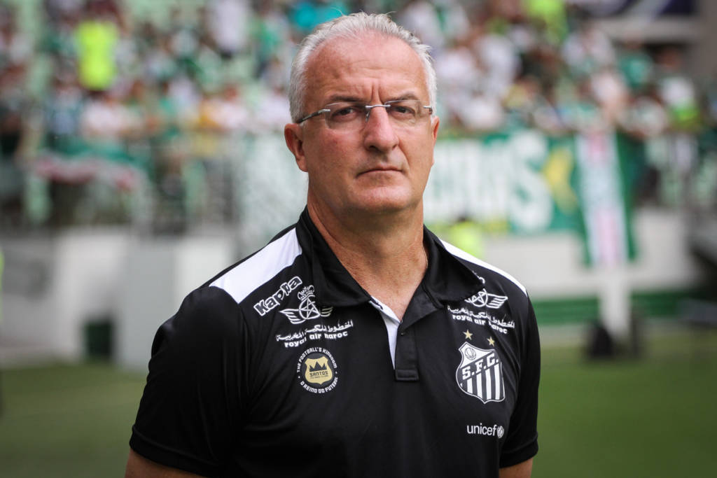 Dorival Júnior não gostou do primeiro tempo do Santos nesta quarta-feira (Foto: Ricardo Saibun/SFC)