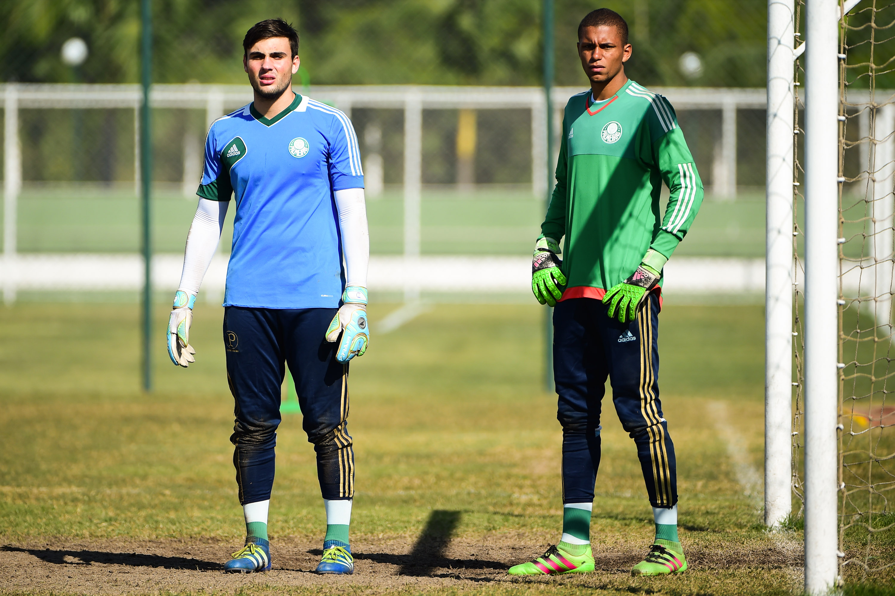 Daniel Fuzato e Anderson Paixão disputam posição no Palmeiras e na Seleção (Foto: Djalma Vassão/Gazeta Press) 