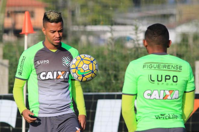 Imagem ilustrativa para a matéria