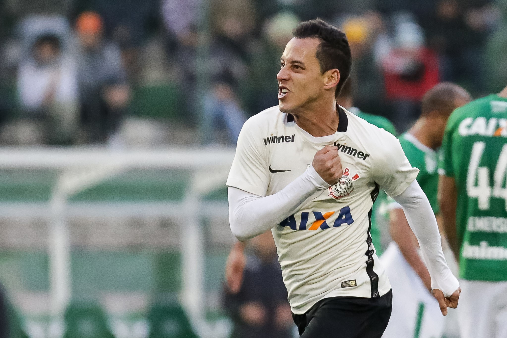Imagem ilustrativa para a matéria