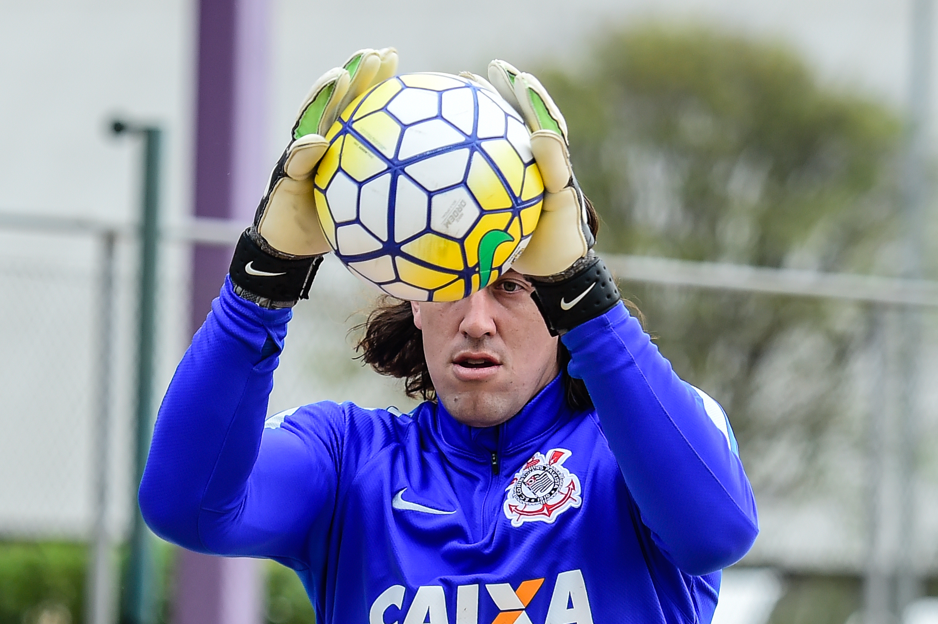 Imagem ilustrativa para a matéria