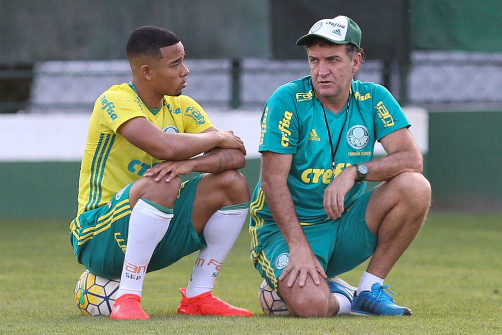 Imagem ilustrativa para a matéria