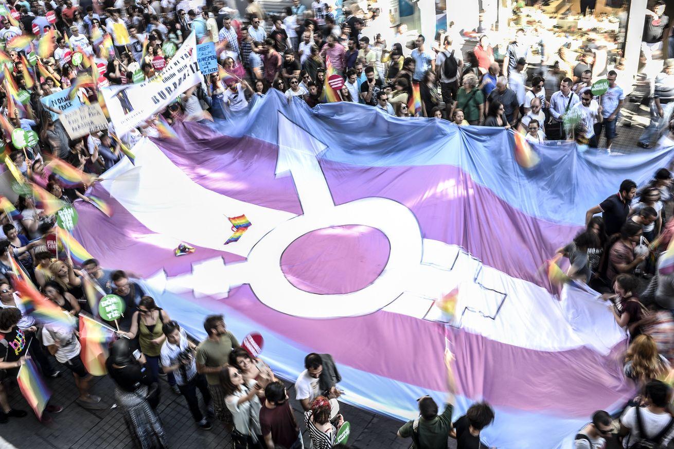 Imagem ilustrativa para a matéria