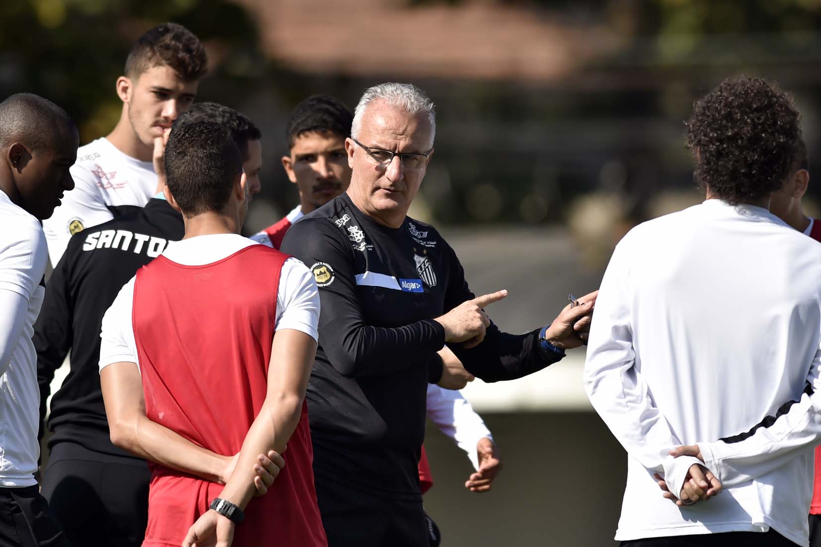 Imagem ilustrativa para a matéria