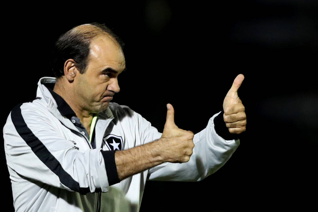 O técnico Ricardo Gomes também ficou satisfeito com a atuação do Botafogo contra o Palmeiras (Foto: Vítor Silva/SSPress/Botafogo)