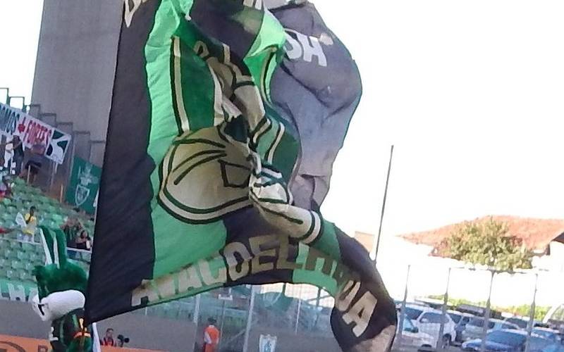 América-MG voltou a vencer no Campeonato Brasileiro (Foto: Divulgação)