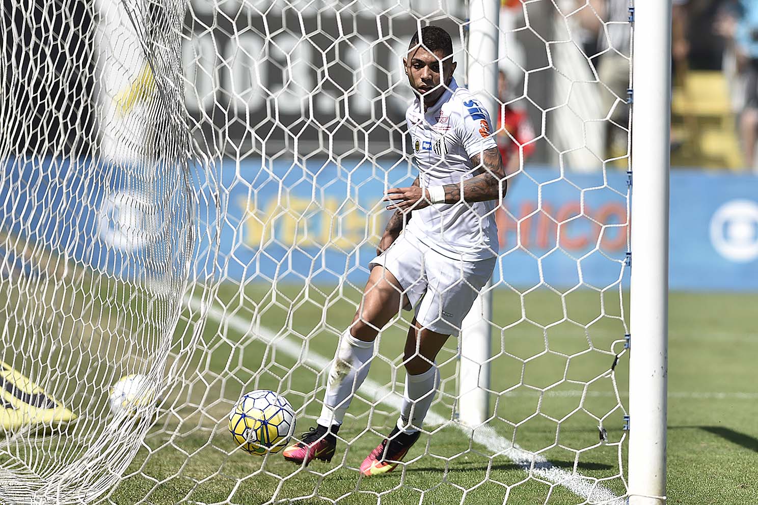 Imagem ilustrativa para a matéria