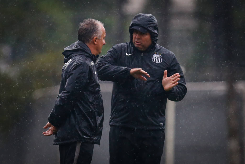 Motivo do afastamento teria sido desentendimento entre Marcelo Fernandes e Dorival Júnior (Foto: Ricardo Saibun/Santos FC)