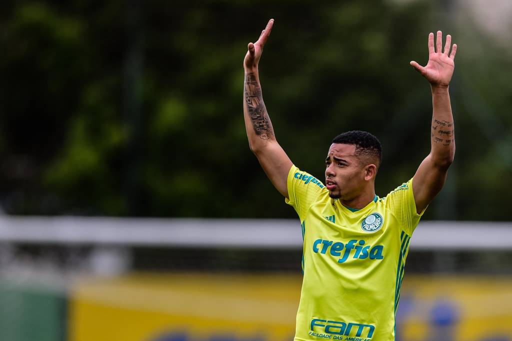 Palmeiras pode ter Gabriel Jesus na partida contra o Cruzeiro (Foto: Fernando Dantas/Gazeta Press)