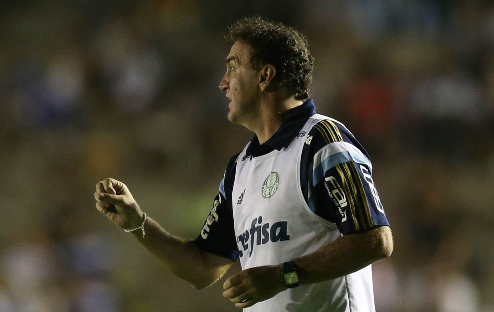 Imagem ilustrativa para a matéria