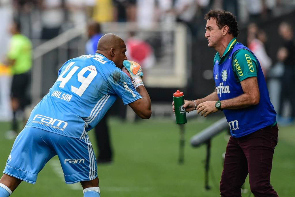 Jailson ganhou a confiança de Cuca e dos companheiros desde que assumiu o gol palmeirense (Foto: Fernando Dantas/Gazeta Press)