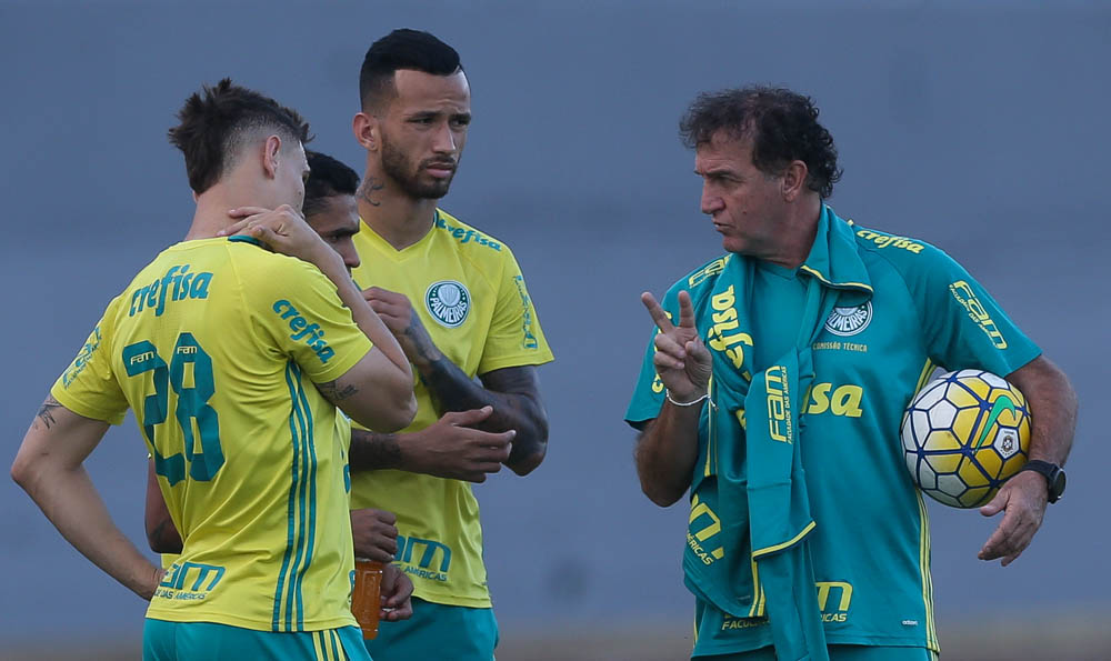 Imagem ilustrativa para a matéria