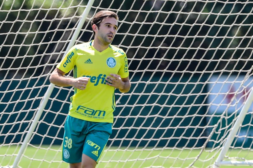 Allione, Palmeiras, Academia de Futebol, São Paulo SP, 27/09/2016, Foto: Fernando Dantas/Gazeta Press