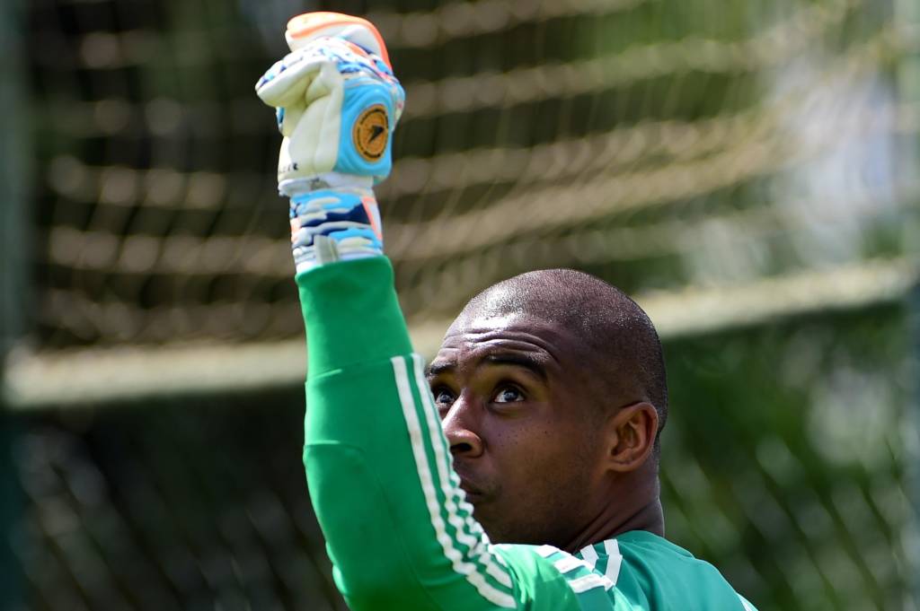 Livre de suspensão, o goleiro Jailson estará de volta ao Palmeiras, contra o Inter (Foto: Djalma Vassão/Gazeta Press)