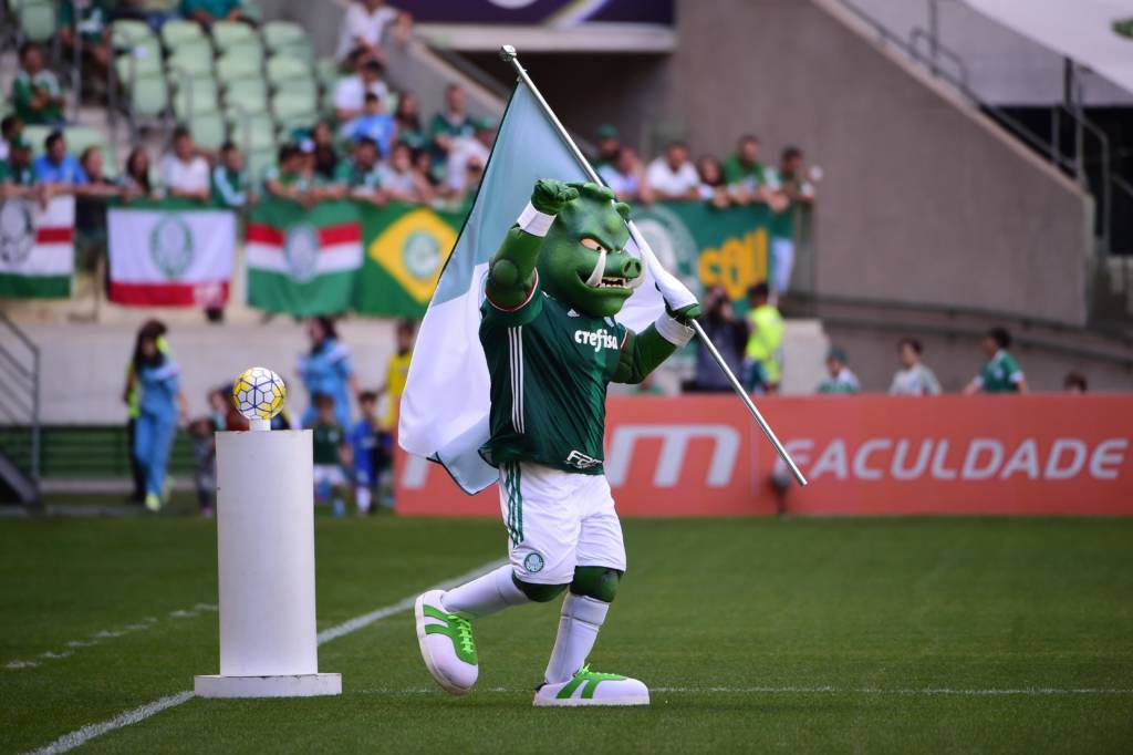Porco mascote do Palmeiras antes da partida contra o Botafogo-RJ, valida pela trigesima sexta rodada do Campeonato Brasileiro de 2016, na capital paulista. 20/11/2016, Foto: Djalma Vassao/Gazeta Press