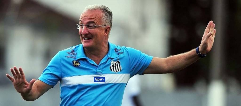 Dorival mostrou satisfação com desempenho neste ano e espera 'voos maiores' em 2017 (Foto: Ivan Storti/Santos FC)