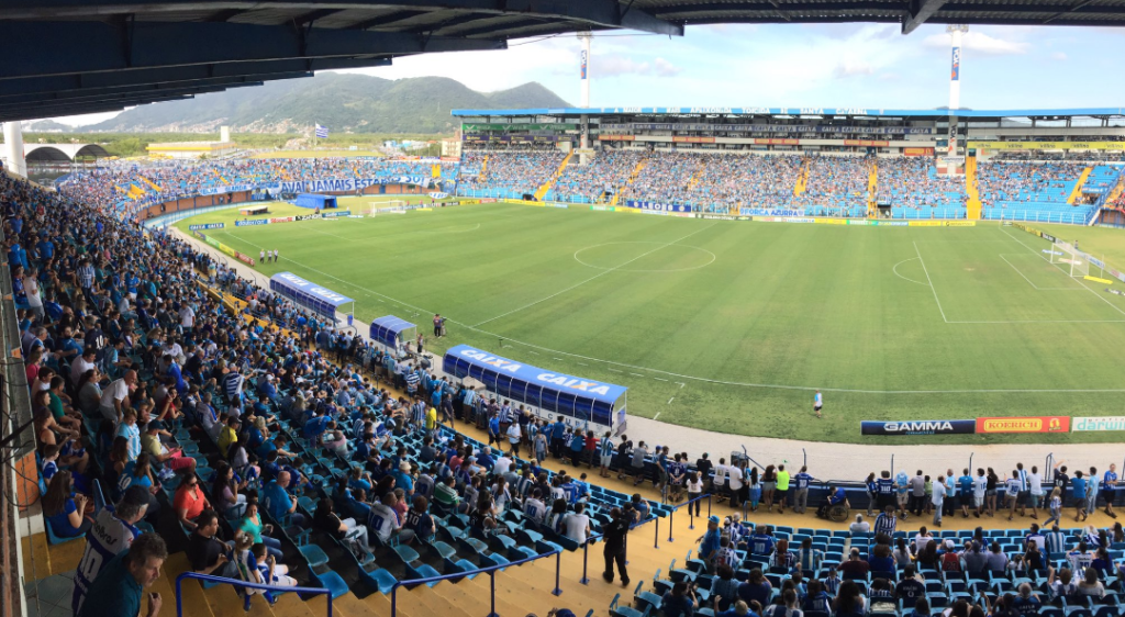 A torcida do Avaí compareceu em peso na despedida da Série B, em empate com o Brasil de Pelotas (Foto: Leandro Boeira/Avaí)