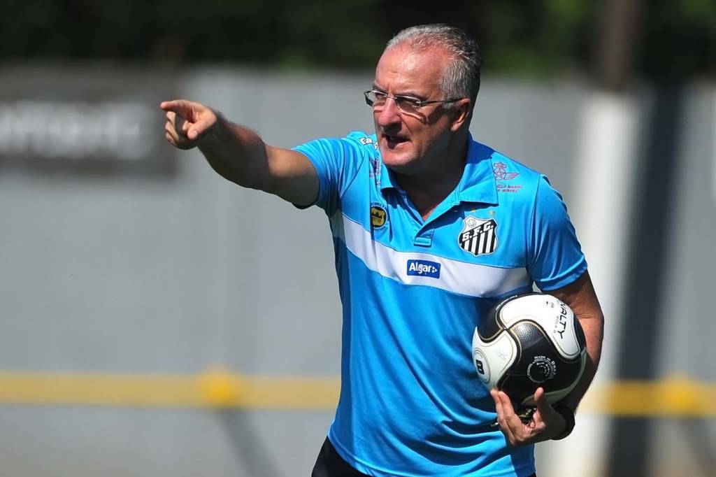 Dorival quer elenco do Santos praticamente completo no início de 2017 (Foto: Ivan Storti/ Santos FC)