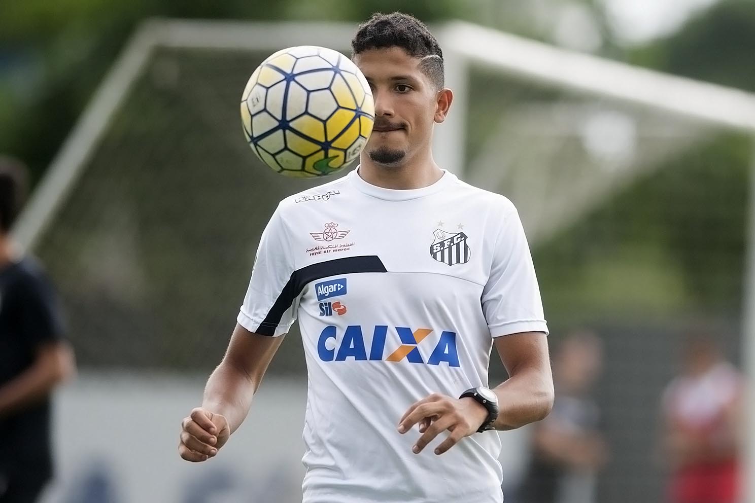 Imagem ilustrativa para a matéria