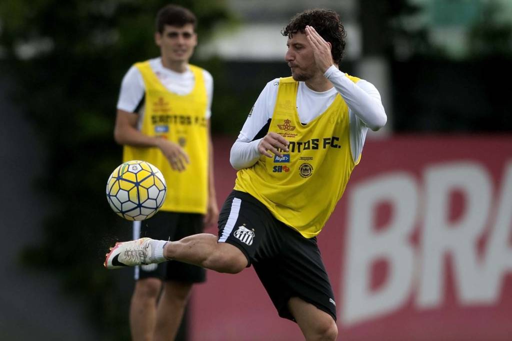Contra o América-MG, o meia Elano irá fazer seu último jogo como atleta profissional (Foto: Ivan Storti/Santos FC)