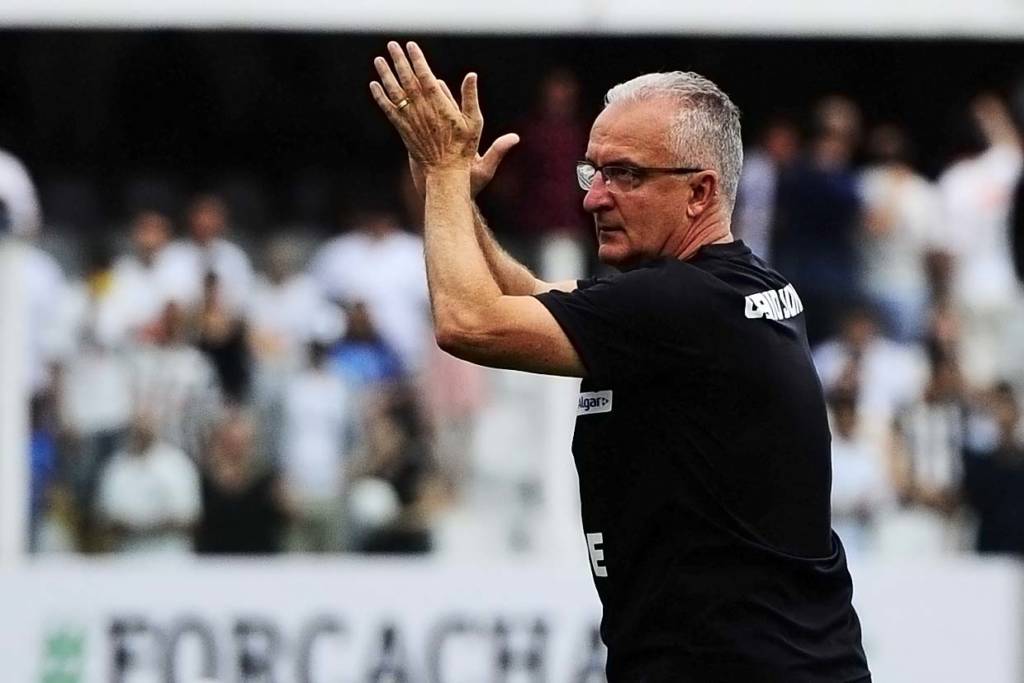 Dorival Júnior acredita que o Santos poderia ter conquistado o título caso não tivesse tantos desfalques (Foto: Ivan Storti/ Santos FC)