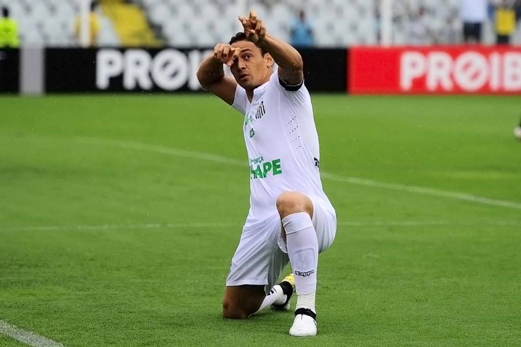 Ricardo Oliveira marcou o único gol do Santos na vitória sobre o América-MG, na Vila Belmiro (Foto: Ivan Storti/ Santos FC)