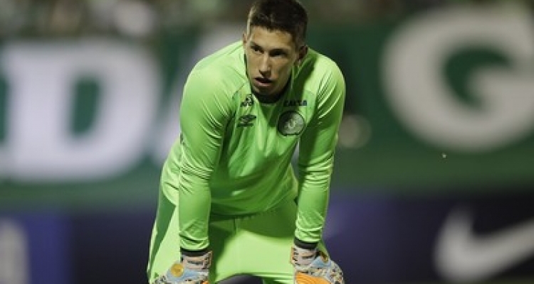 Imagem ilustrativa para a matéria