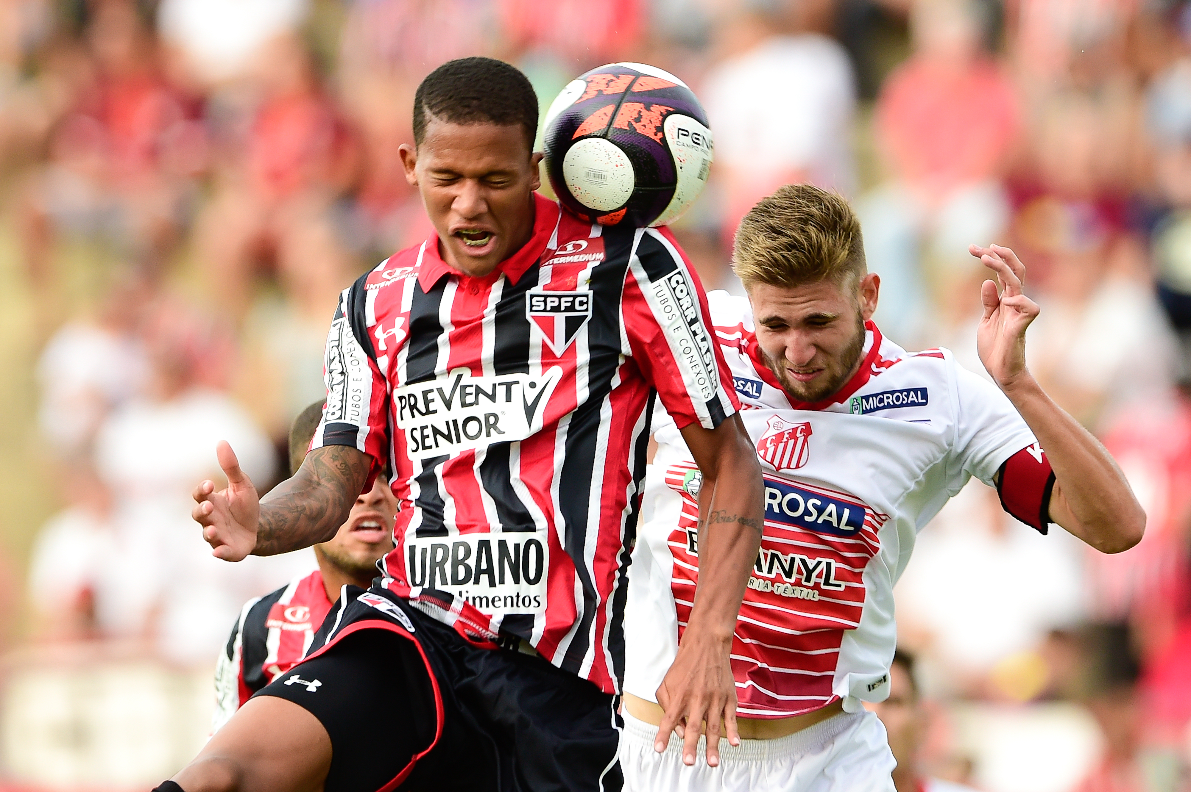 Imagem ilustrativa para a matéria