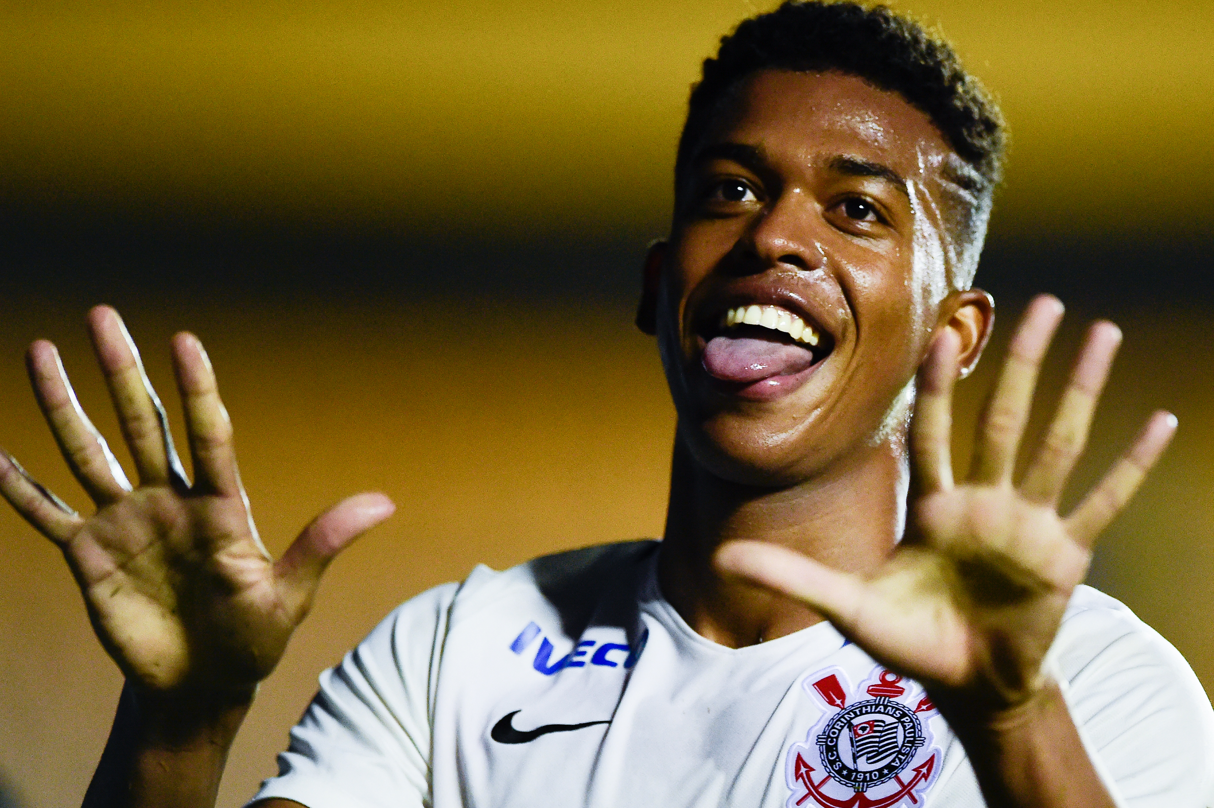 Imagem ilustrativa para a matéria