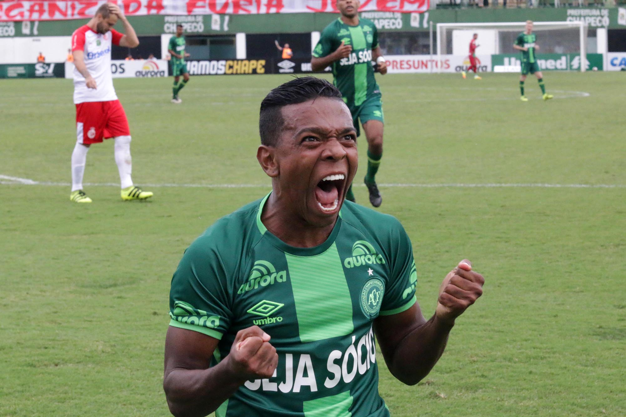 Imagem ilustrativa para a matéria