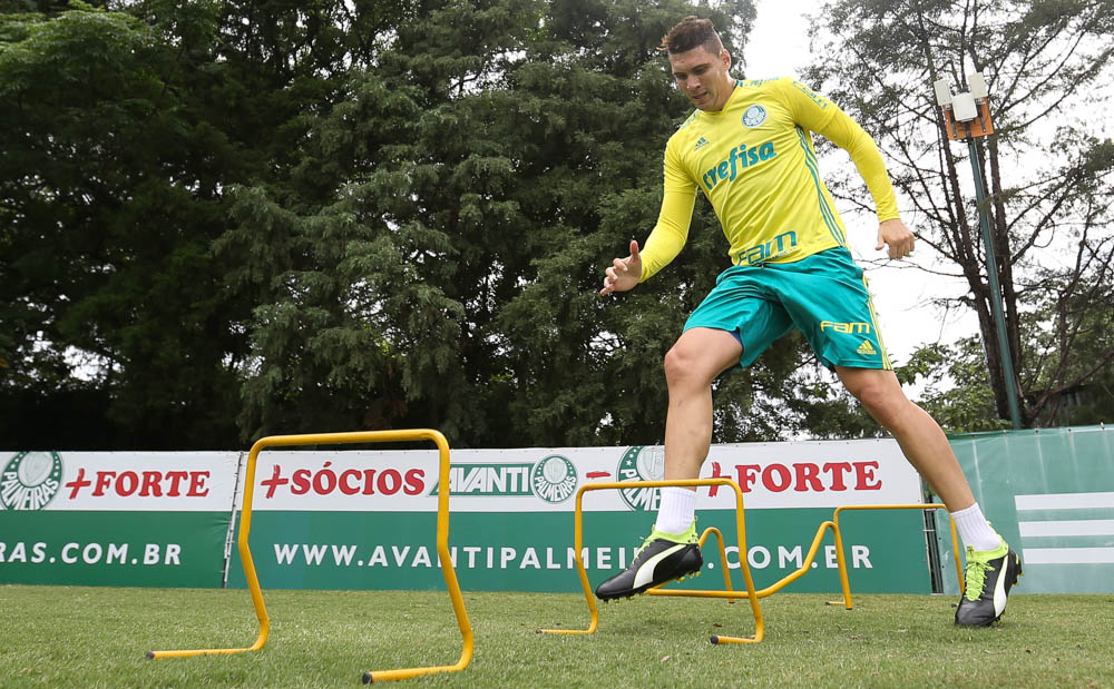 Meio-campista Moisés e zagueiro Mina estão fora da estreia no Paulista (Foto: Cesar Greco/Divulgação)