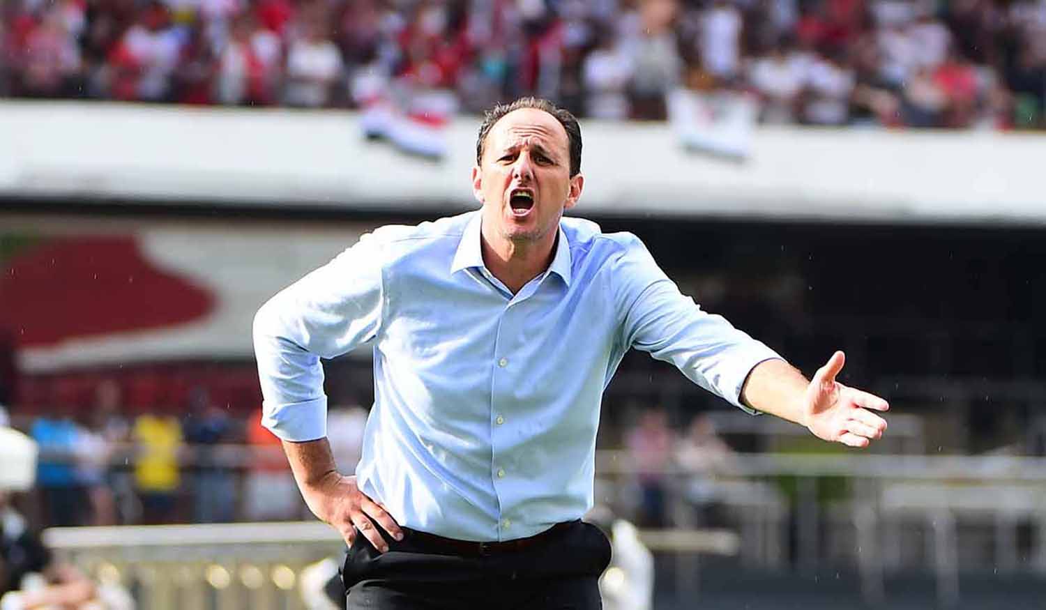Imagem ilustrativa para a matéria