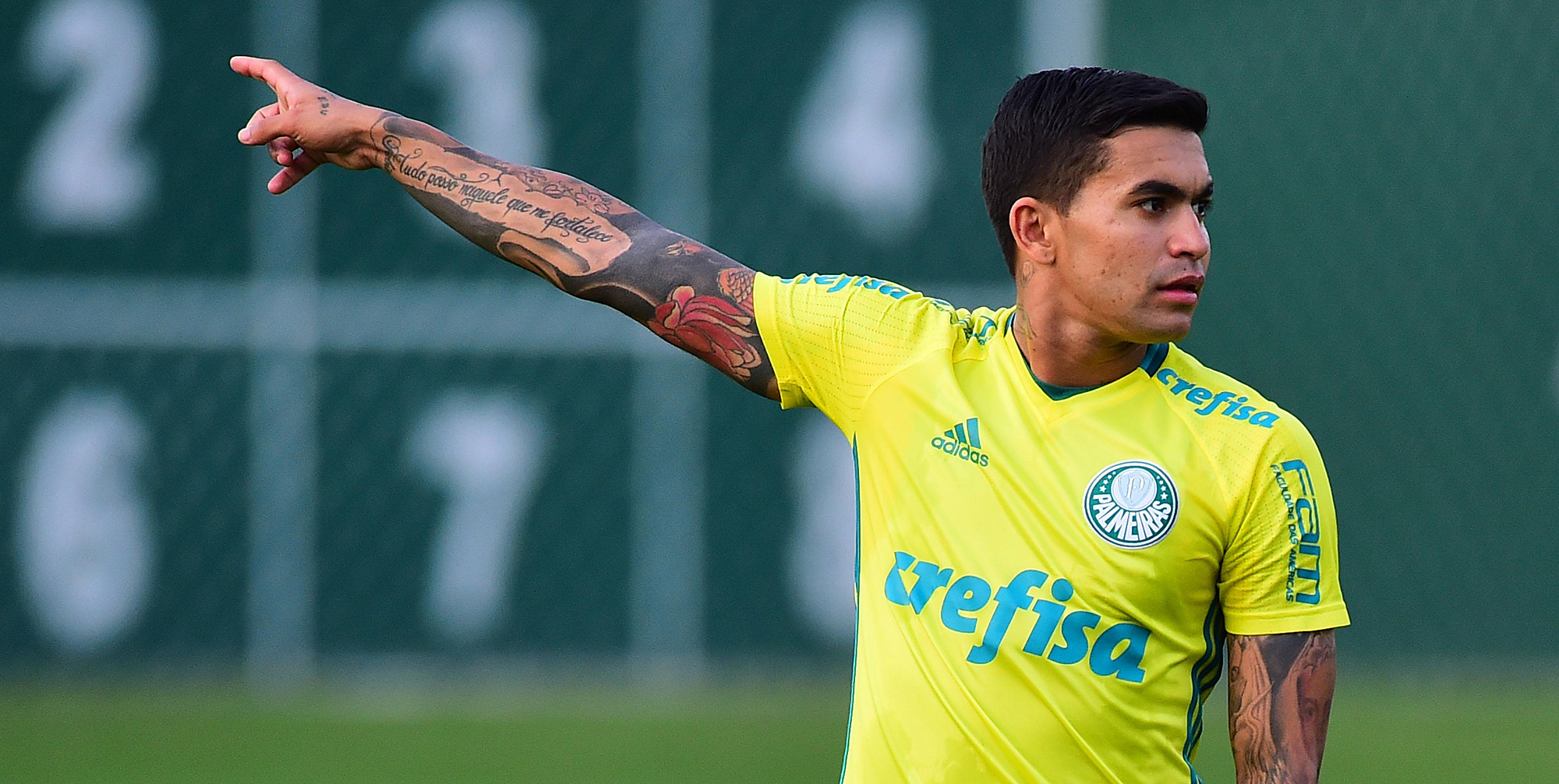 Imagem ilustrativa para a matéria