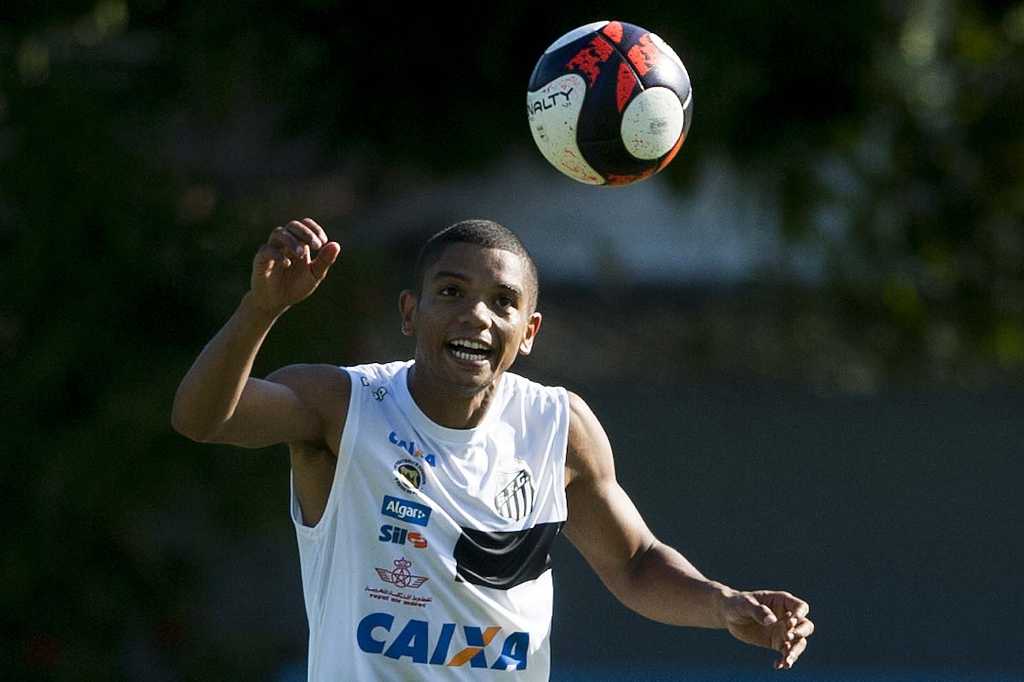 Imagem ilustrativa para a matéria