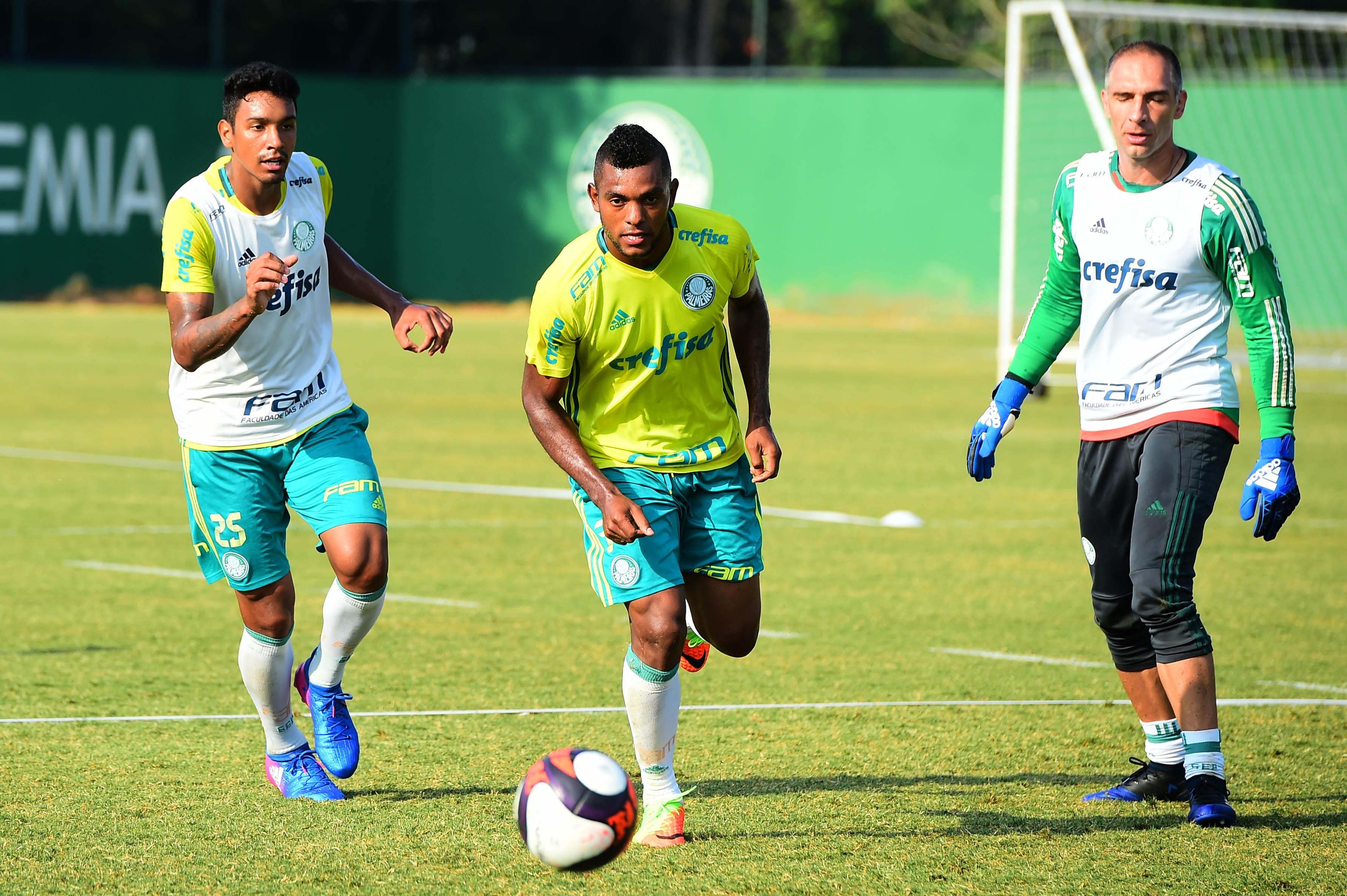 Miguel Borja será inscrito no Campeonato Paulista no lugar do lesionado Moisés (Foto: Sergio Barzaghi/Gazeta Press)