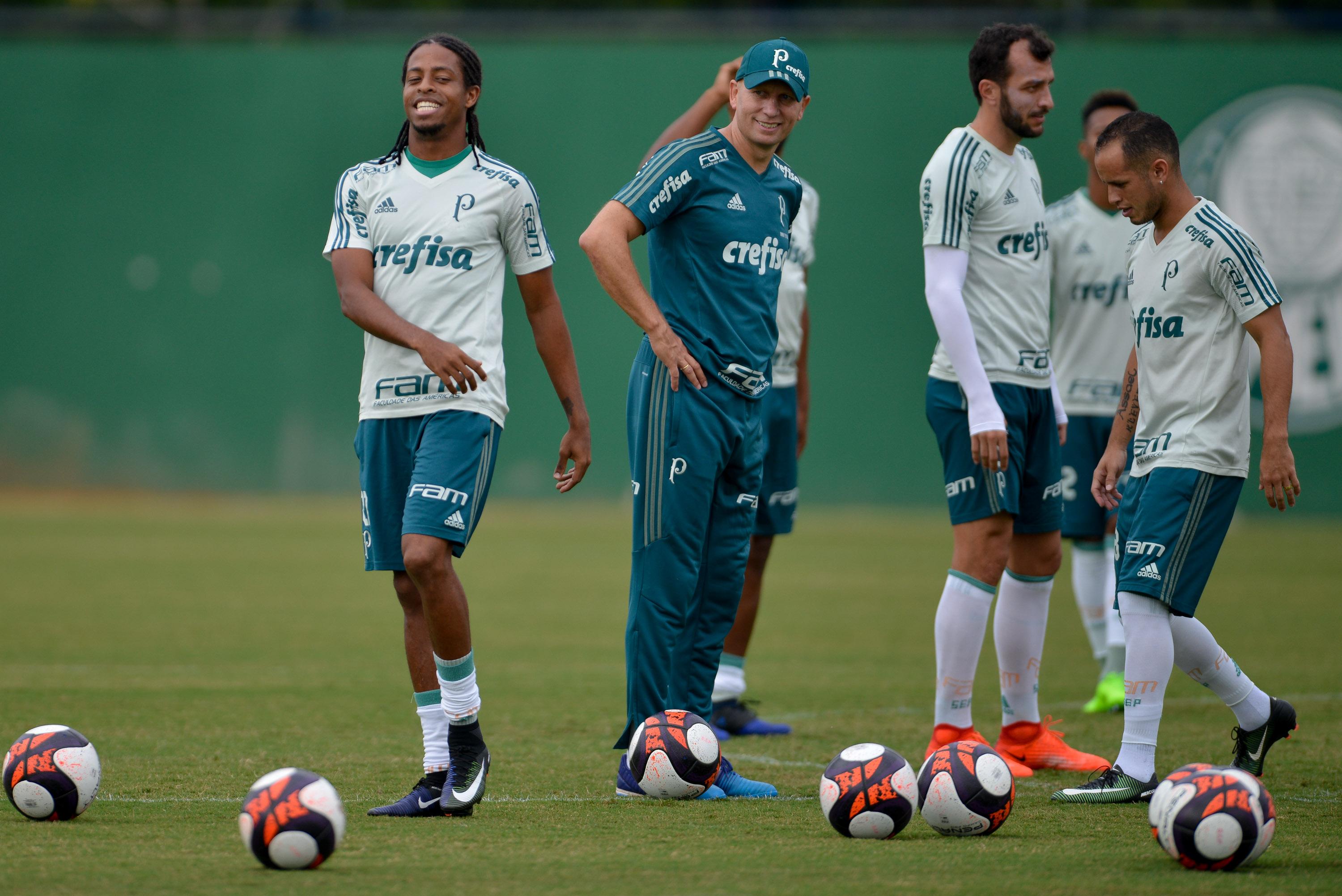Palmeiras mira vitória no Paulista para chegar tranquilo na Libertadores (Foto: Djalma Vassão/ Gazeta Press)