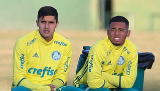 Imagem ilustrativa para a matéria