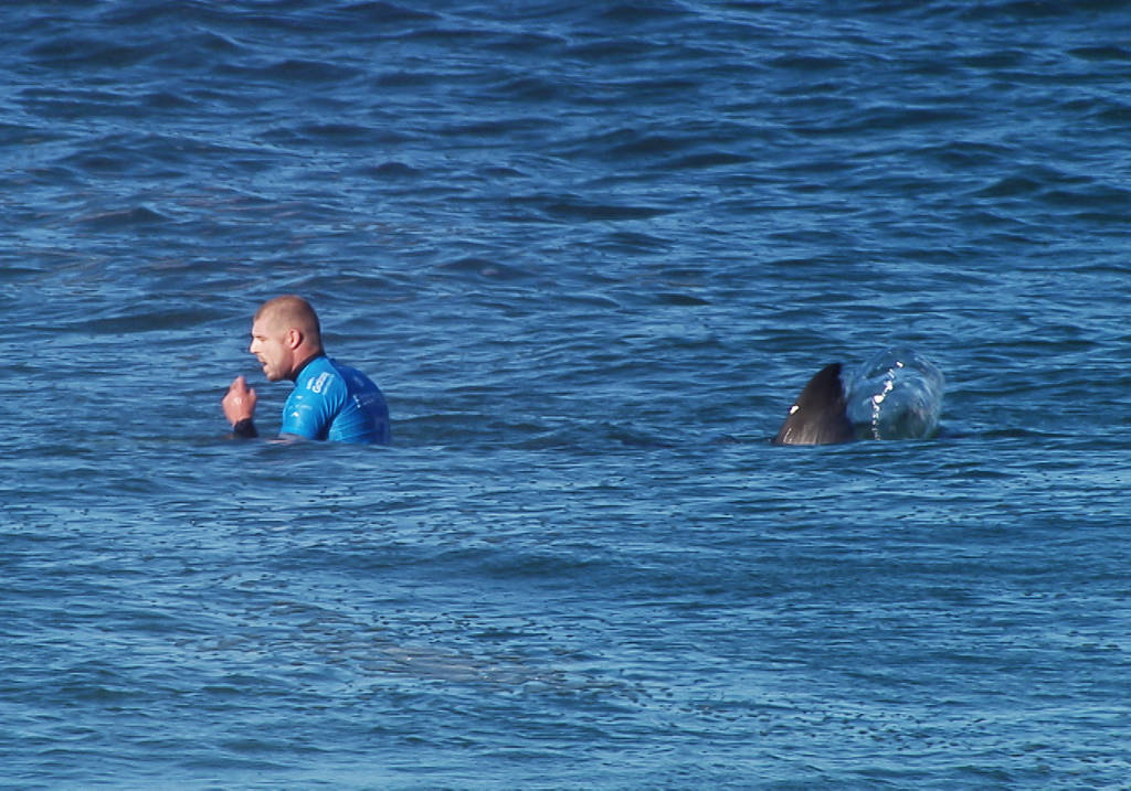 (FILES) This handout screengrab file image made and released on July 19, 2015 by the World Surf League (WSL) shows Australian surfer Mick Fanning shortly before being attacked by a shark during the Final of the JBay surf Open in Jeffreys Bay, South Africa. Three-time world surfing champion Mick Fanning announced on March 7, 2017, he will return to the world tour full-time this year for the first time since being attacked by a shark. / AFP PHOTO / WSL / WSL / EDITOR'S NOTE -- RESTRICTED TO EDITORIAL USE - MANDATORY CREDIT "AFP PHOTO / WSL / FILES" - NO MARKETING - NO ADVERTISING CAMPAIGNS - DISTRIBUTED AS A SERVICE TO CLIENTS