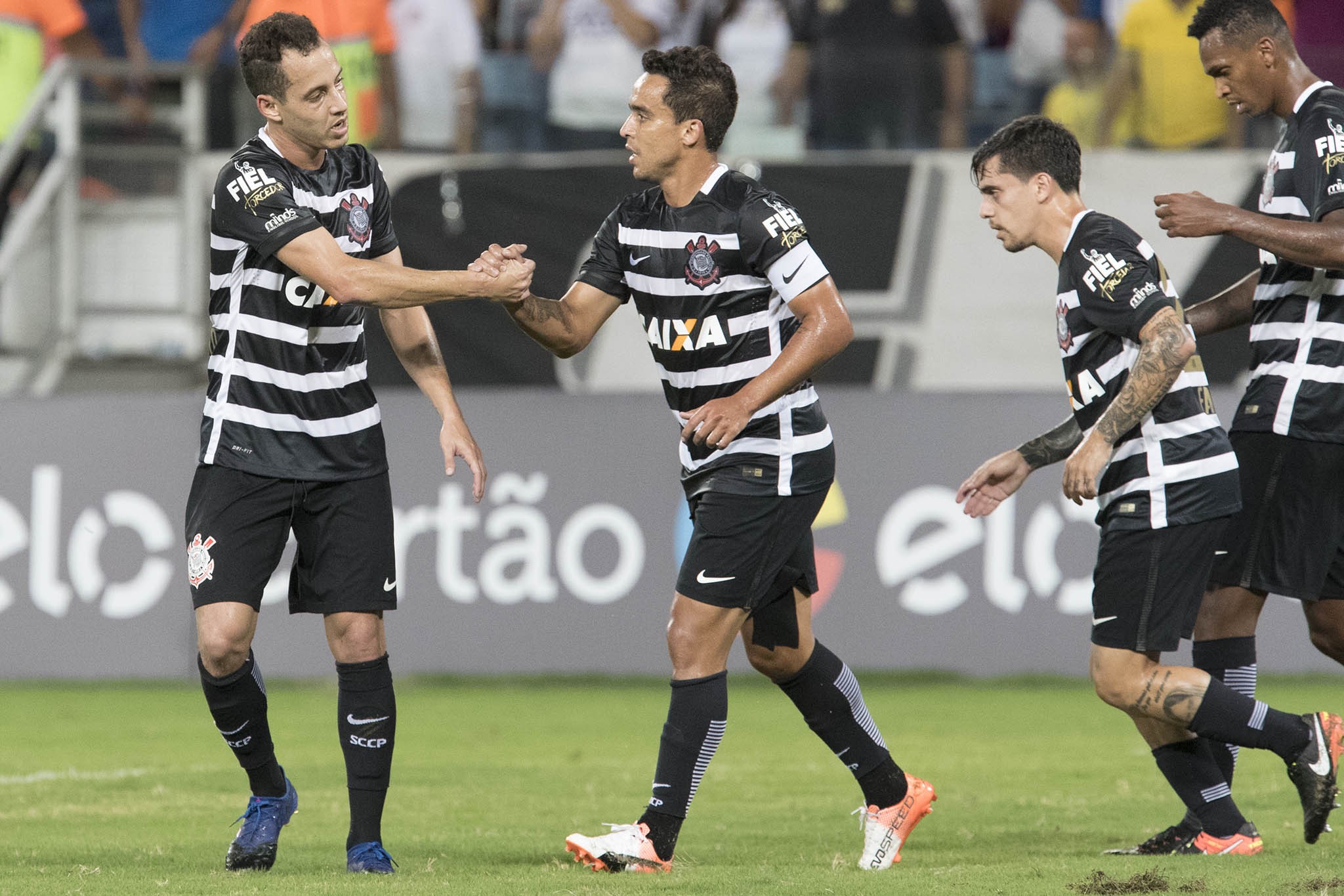 Imagem ilustrativa para a matéria