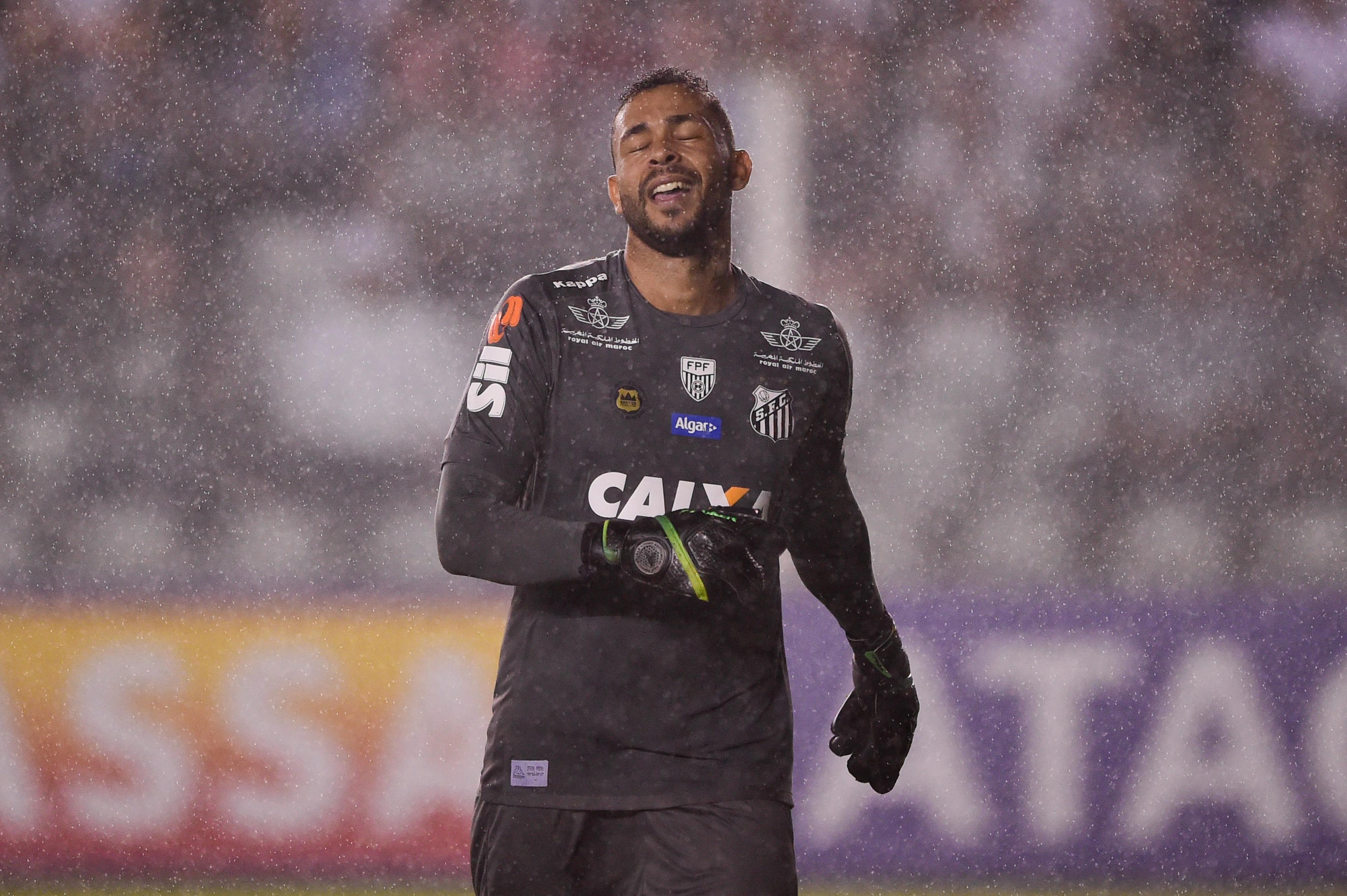 Dorival Júnior não vê falha de Vladimir em primeiro gol do Palmeiras (Foto: Fernando Dantas/Gazeta Press)
