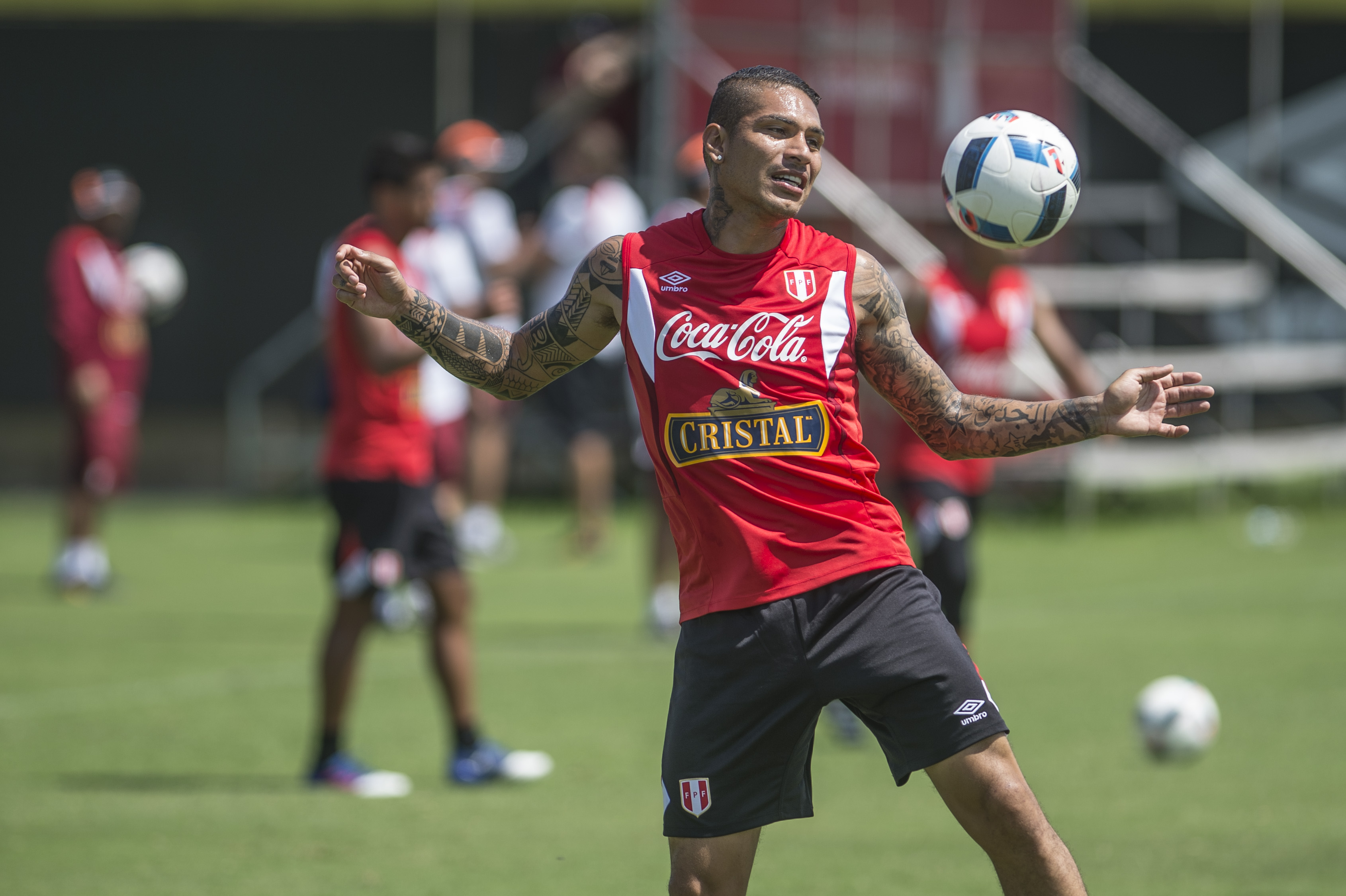 Imagem ilustrativa para a matéria