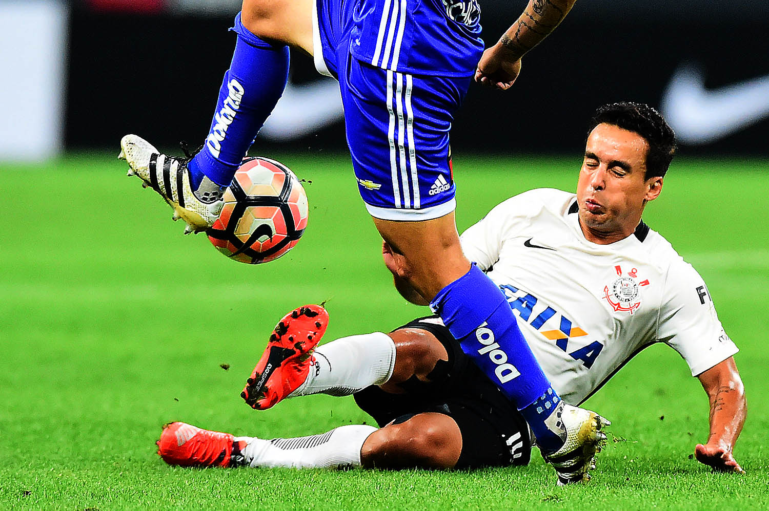 Imagem ilustrativa para a matéria