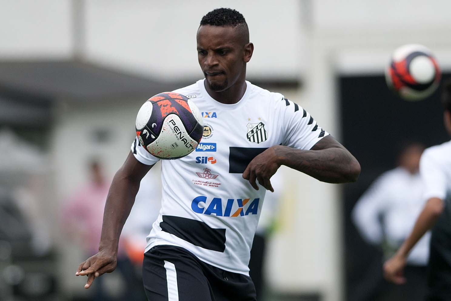 Imagem ilustrativa para a matéria