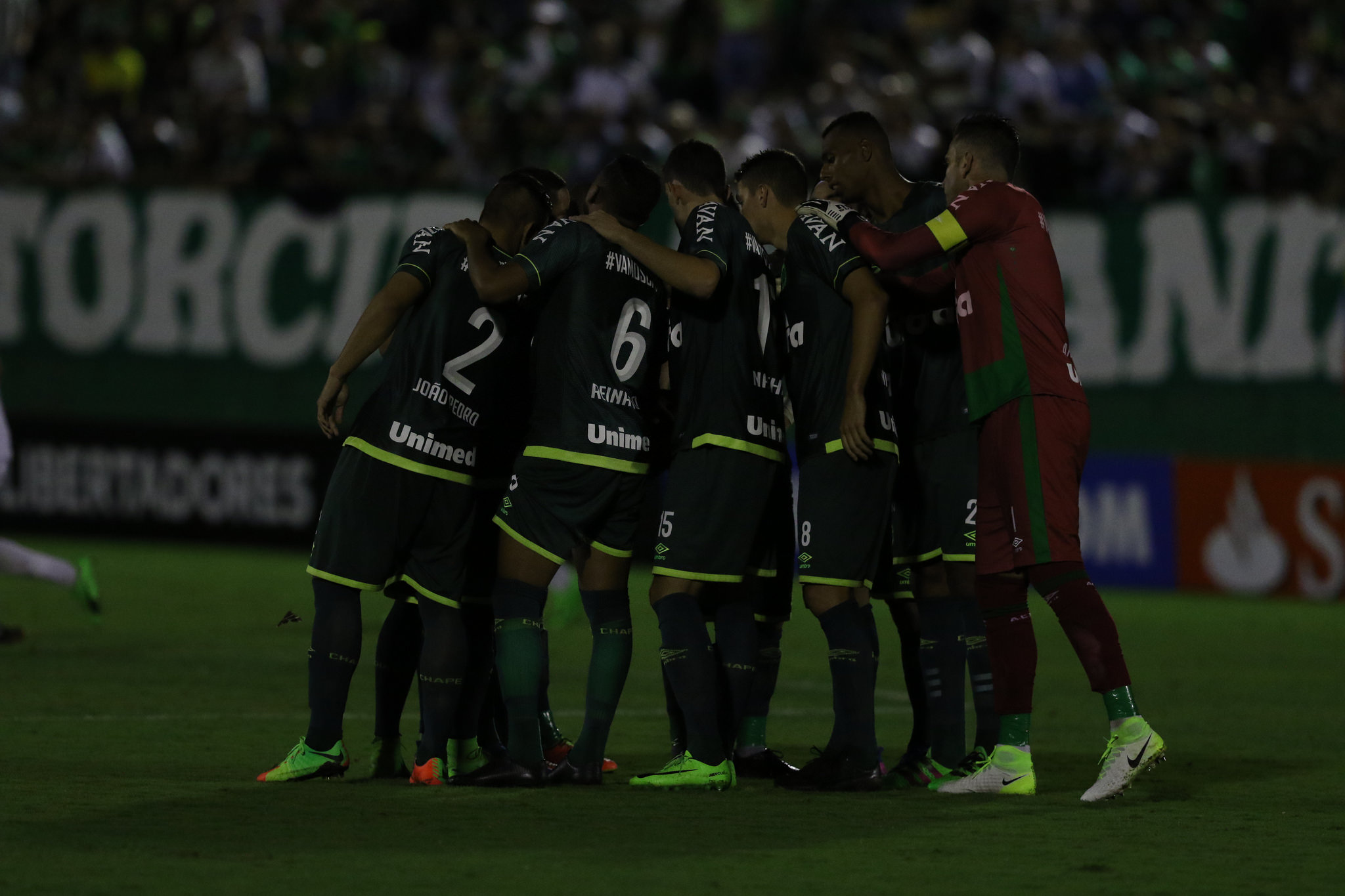 Imagem ilustrativa para a matéria