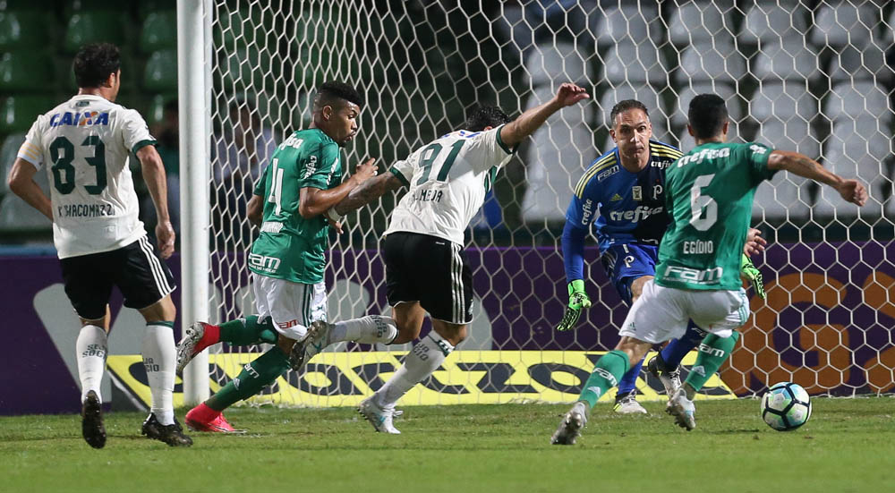 Imagem ilustrativa para a matéria