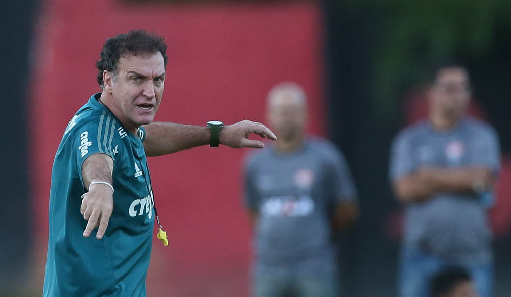 Imagem ilustrativa para a matéria