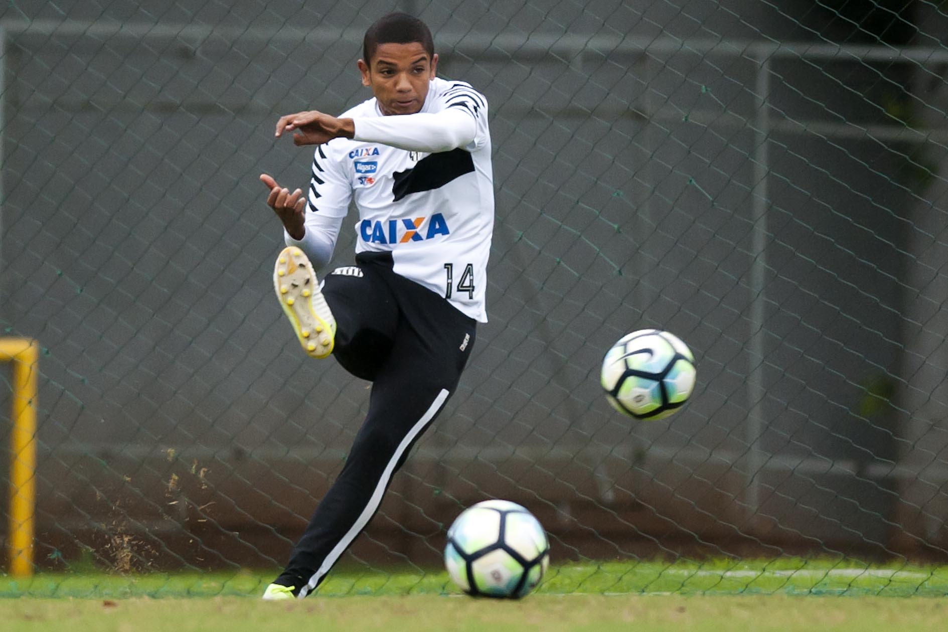 Imagem ilustrativa para a matéria